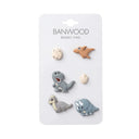 Set de insigne Dinozauri Banwood pentru coș