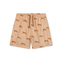 Pantaloni scurți de baie Brown Roamer, vedere frontală