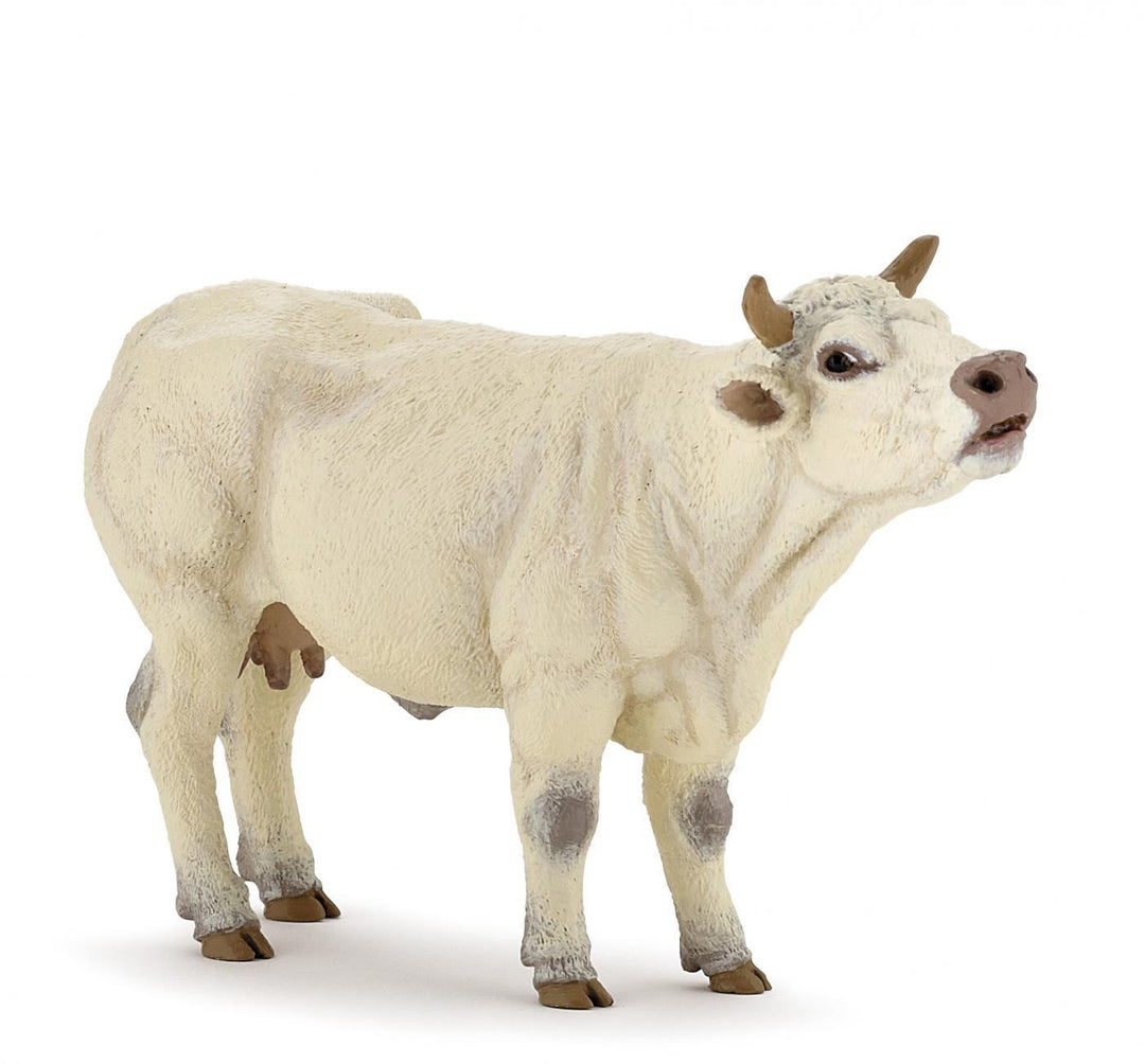 Vaca Charolais - Carousel