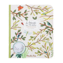 Carte de colorat Flora si Fauna - Carousel