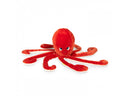 Octopus Paulie