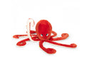 Octopus Paulie