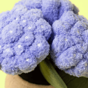 Ghiveci cu floari hortensie