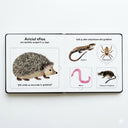 Cartea mea cu ilustratii ,,Animalele mici''