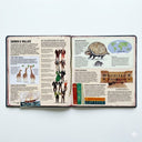 Carte educativa ,, Evolutia''