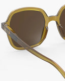 Ochelari de soare adult  #Sun Office Golden Green