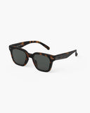 Ochelari de soare adult #Road Tortoise