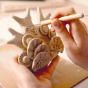 Atelier 85  ,,Modelaj”