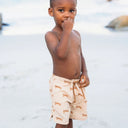 Pantaloni scurti de baie ,,Brown Roamer''