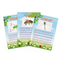 Aspirator de insecte - Carousel