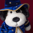 Chipul lui Rufferty Puppy Wizard sub borul pălăriei cu margine aurie