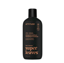 Șampon și balsam 2-în-1 Patchouli & Bourbon, 473 ml – ATTITUDE