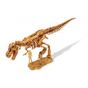 Dino Kit - 4 modele - Carousel