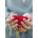 Set oje pe baza de apa ,,Eternal roses"