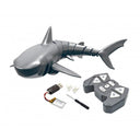 Rechin R/C - Carousel