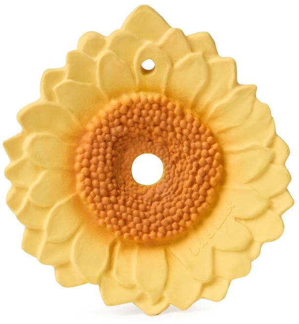 Floarea Soarelui - Carousel