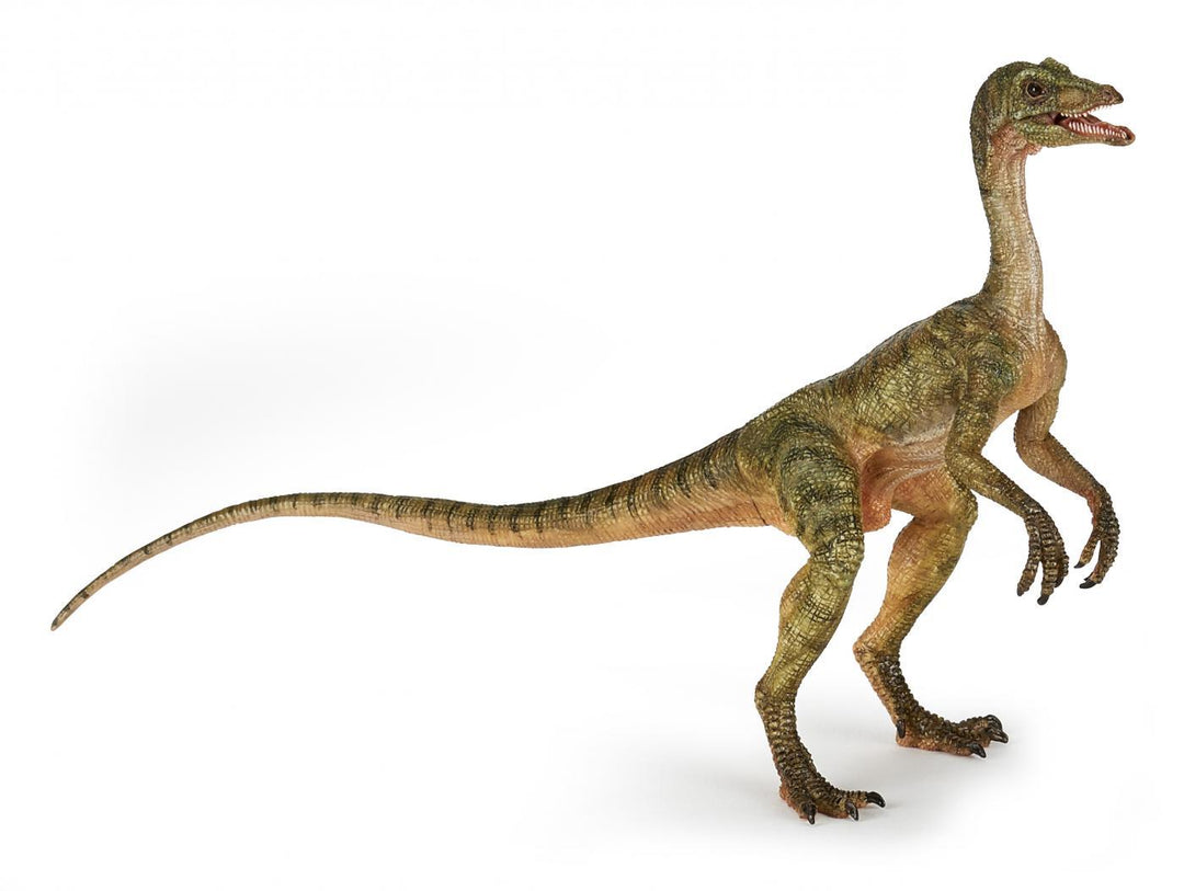 Dinozaur teropod Compsognathus
