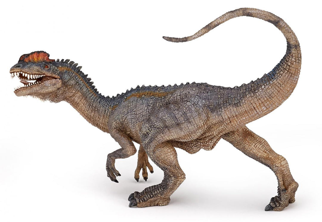 Dinozaur carnivor Dilophosaurus - Carousel