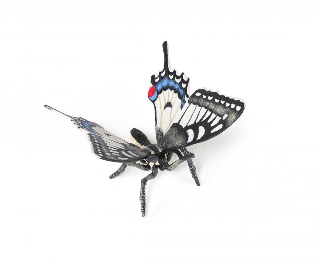 Fluture Papilionidae - Carousel