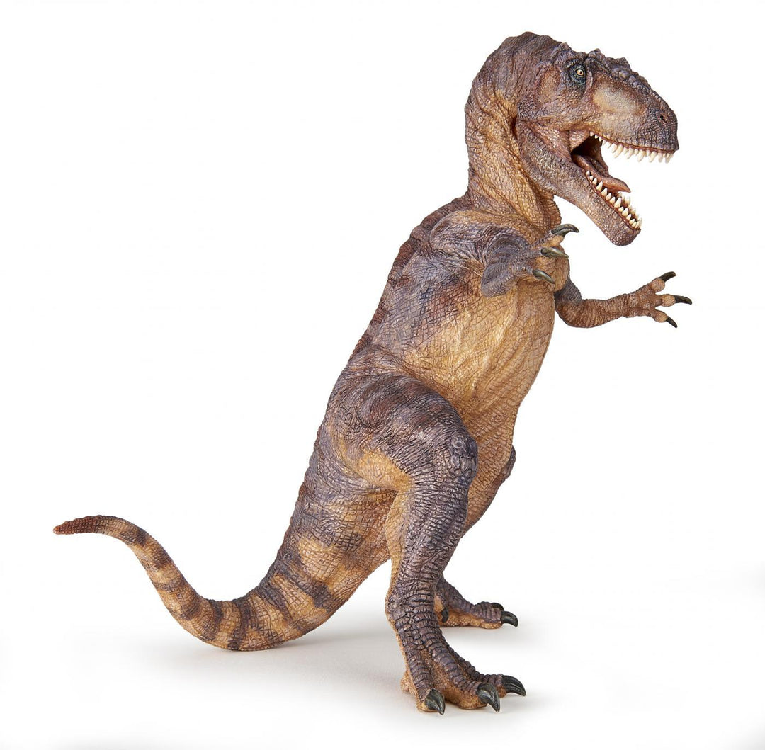 Dinozaur teropod Giganotosaurus - Carousel