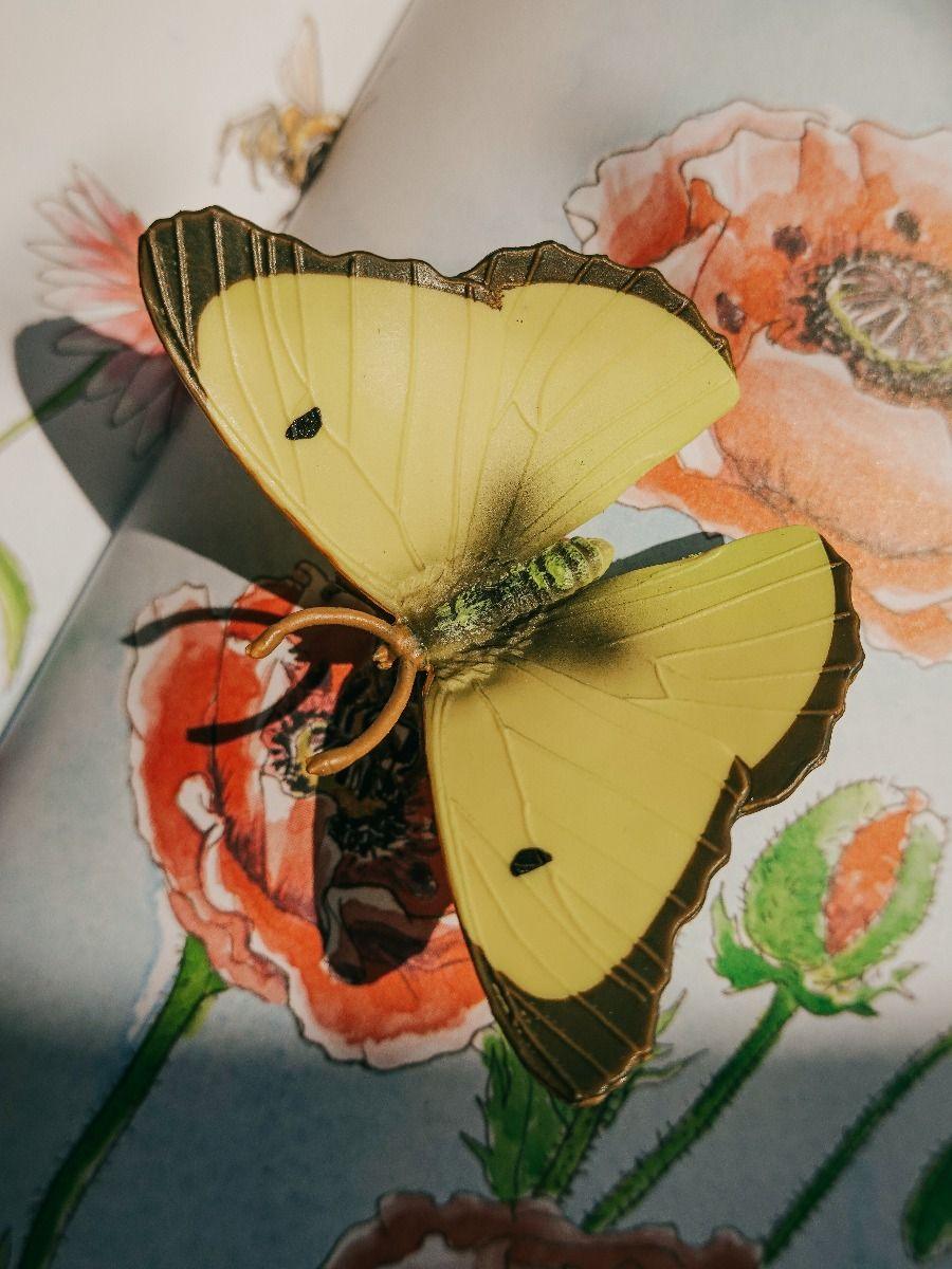 Желтая бабочка